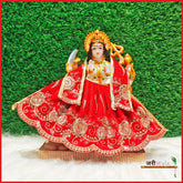 Shaneel Thread Sitara Work Red Lehnga Patka