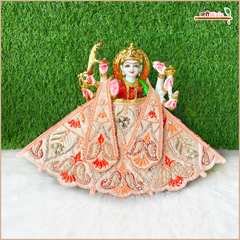 Blended Thread Jarkan Moti Work Peach Lehnga Patka