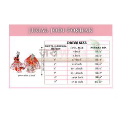 Blended Thread Sitara Work Cream Jugal Jodi Poshak