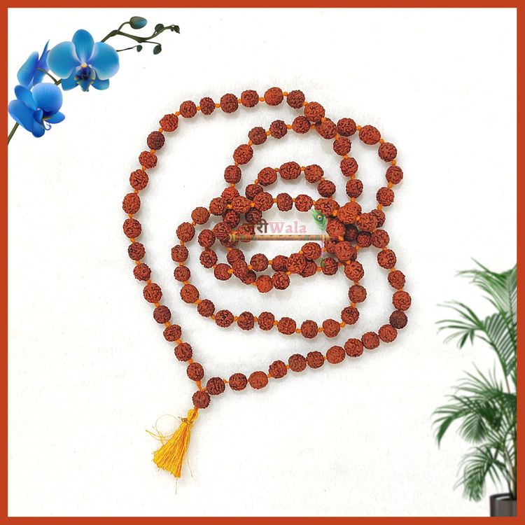 Rudraksh Jaap Mala - ZARIIWALAA