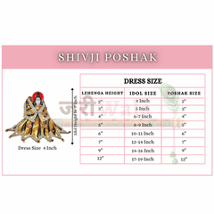 Shanil Lace Work Baghambar Shiv Ji Poshak - ZARIIWALAA