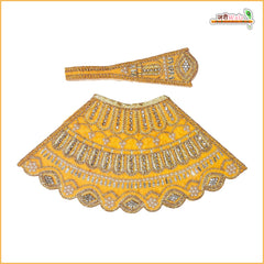 Shaneel Thread Stone Moti Work Yellow Lehnga Patka