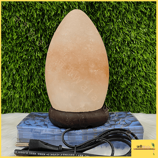 Electric Pink Egg Shape Rock Salt Table Lamp - ZARIIWALAA